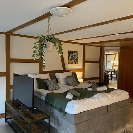 In Naehe Thun Appartement