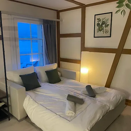 With Kitchen & Parking Near Thun And Bern