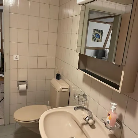 With Kitchen & Parking Near Thun And Bern *